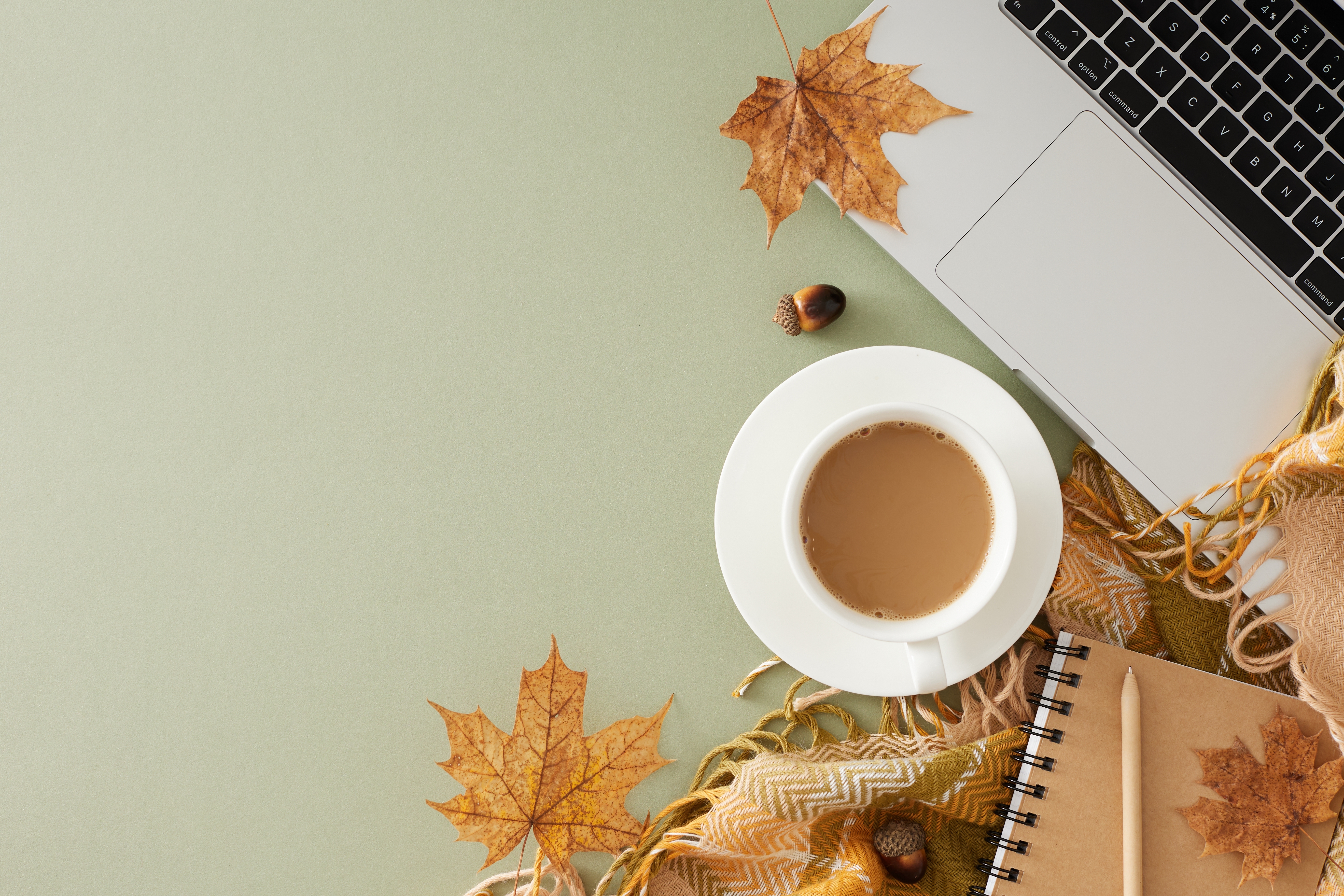 Embrace the Autumn Serenity: Disconnecting from Technology in the Fourth Quarter Work Chaos